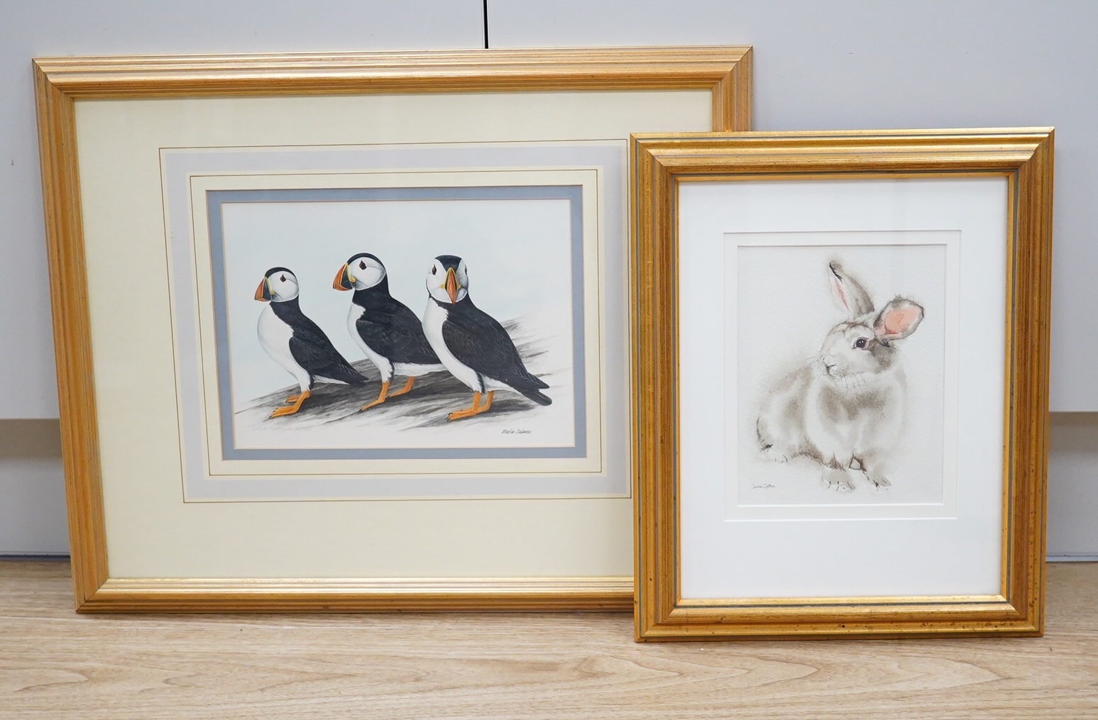 Martin Salmon (20th. C), watercolour, Study of puffins, together with, Jackie Gethin, watercolour, Study of a rabbit, each signed, largest 19 x 27cm. Condition - good